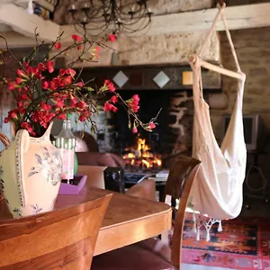 book here